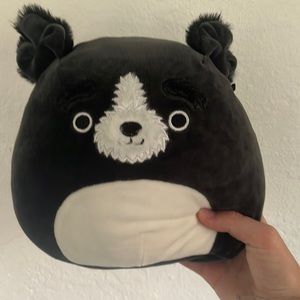 8” Paulie and 5” rainbow zebra